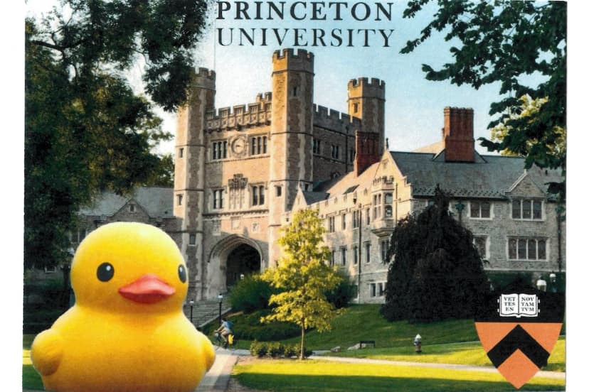 CS50 Duck