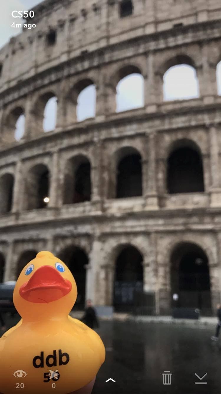 CS50 Duck