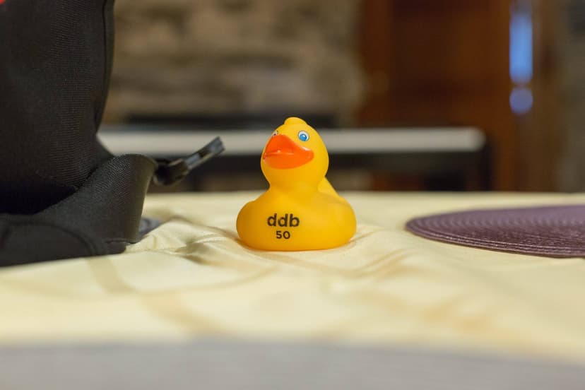 CS50 Duck