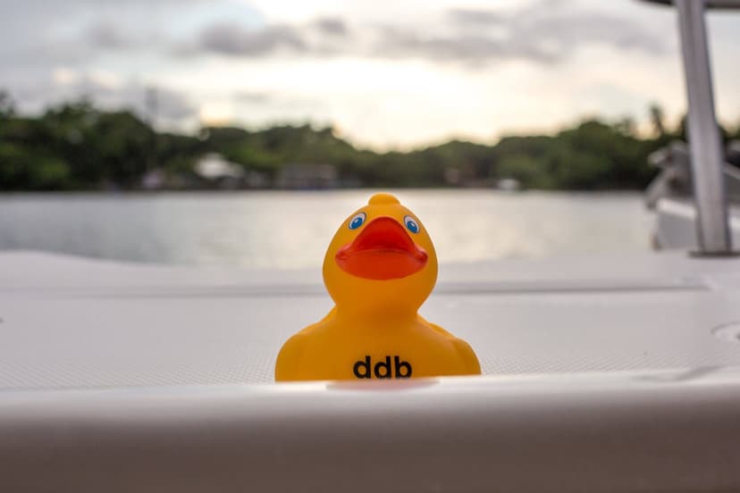 CS50 Duck