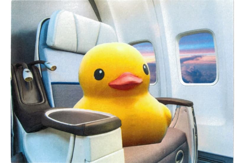 CS50 Duck