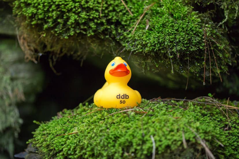 CS50 Duck
